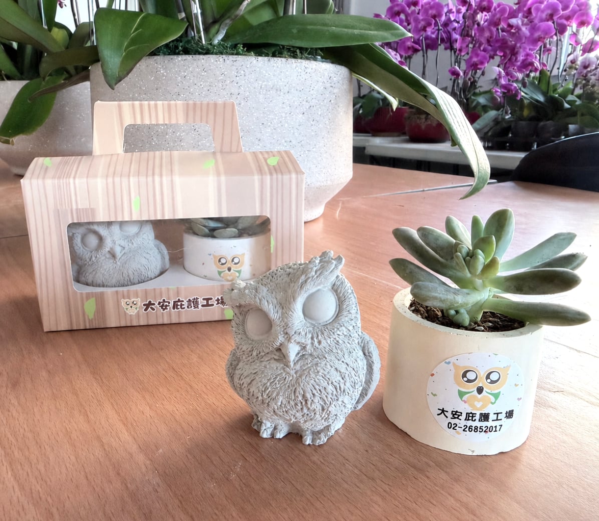鷹植都在禮盒
