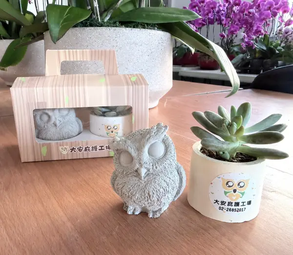 鷹植都在禮盒